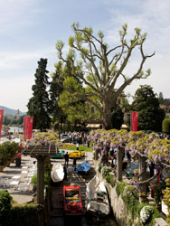Concorso d'Eleganza Villa d'Este