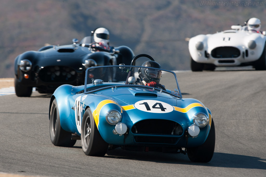 Click here to open the AC Shelby Cobra FIA Roadster gallery