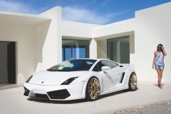 Gallardo