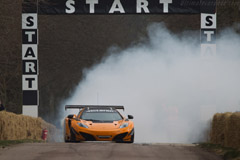 2013 Goodwood Preview