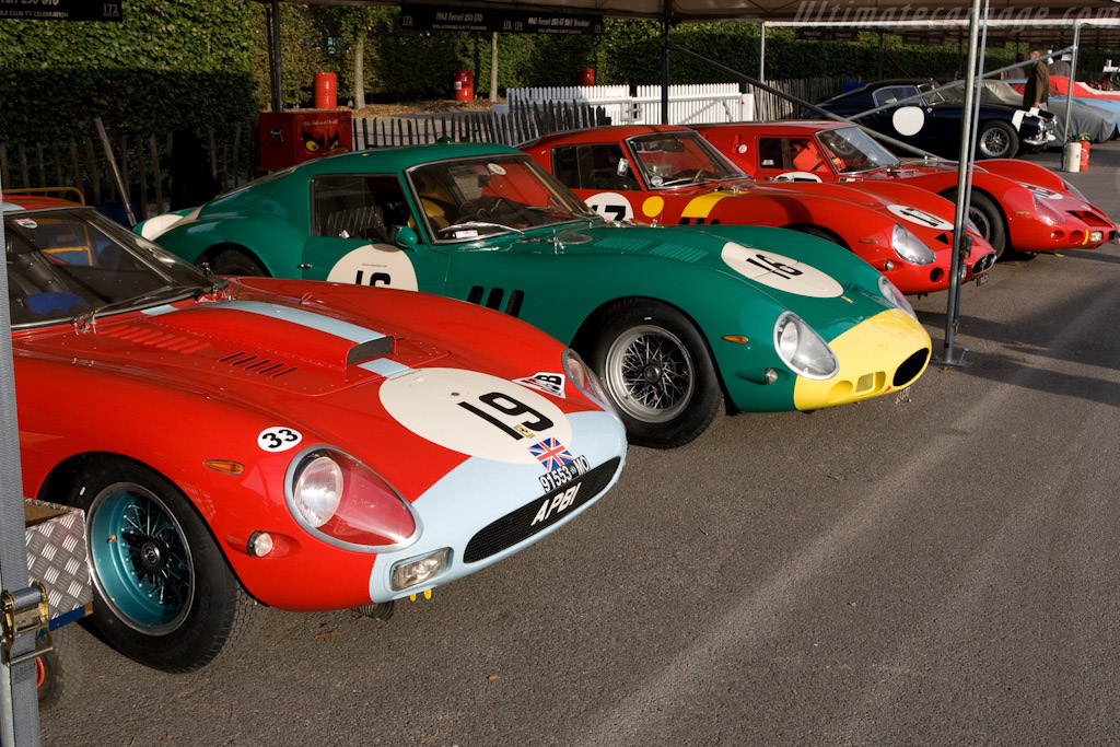 Ferrari 250 GTO Pininfarina Coupe - Chassis: 4399GT  - 2008 Goodwood Revival