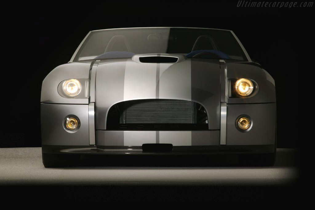 Shelby Cobra Concept