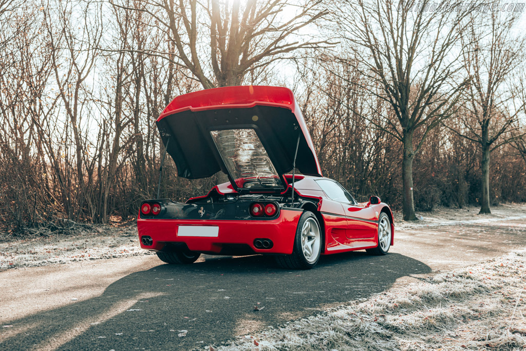 Ferrari F50