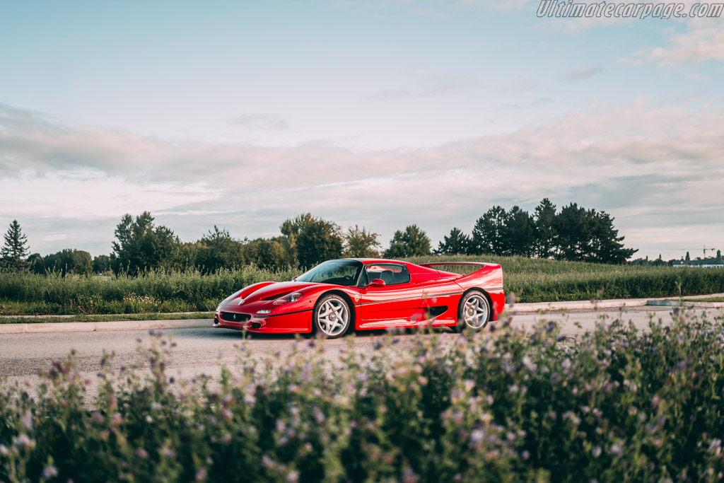 Ferrari F50