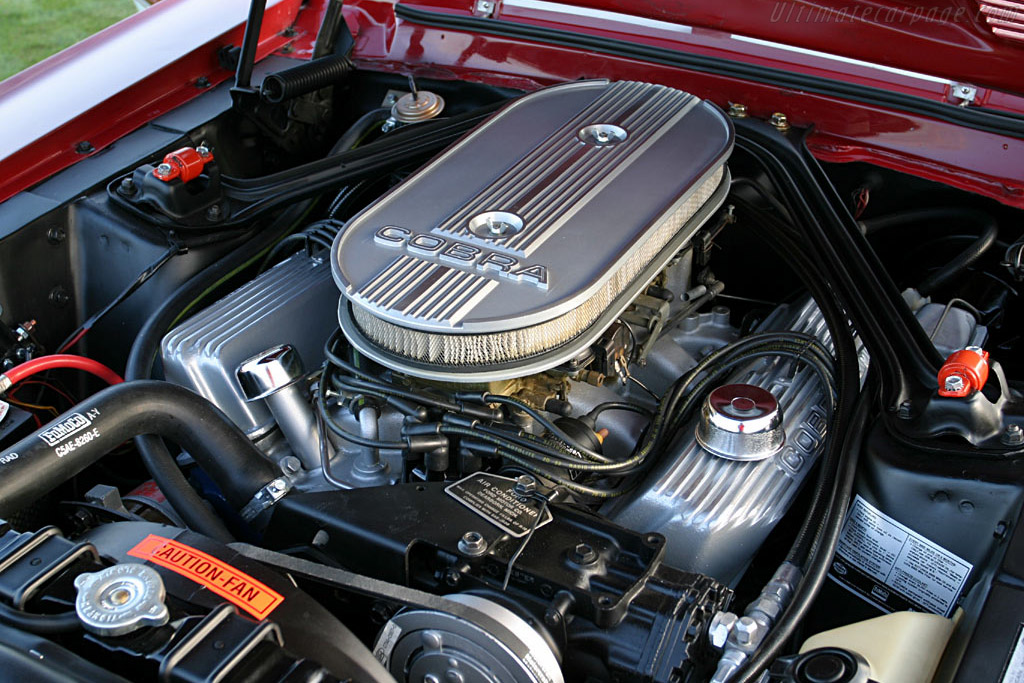 Ford Shelby Mustang GT500   - 2005 Palm Beach International, a Concours d'Elegance