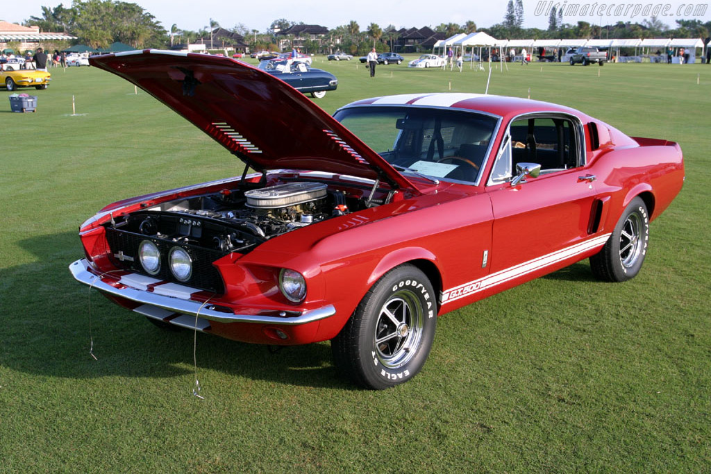 Ford Shelby Mustang GT500   - 2005 Palm Beach International, a Concours d'Elegance