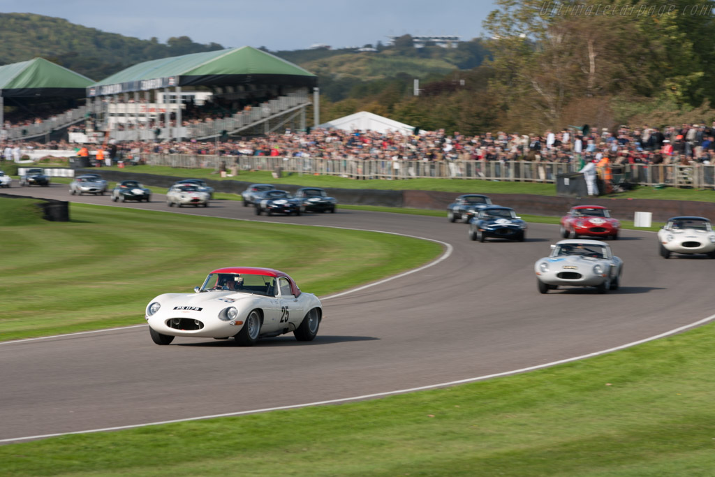 Jaguar E-Type Lightweight Roadster - Chassis: S850669  - 2011 Goodwood Revival