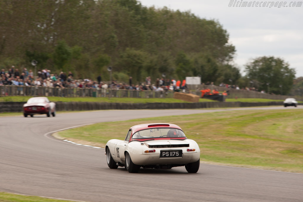 Jaguar E-Type Lightweight Roadster - Chassis: S850669  - 2012 Goodwood Revival