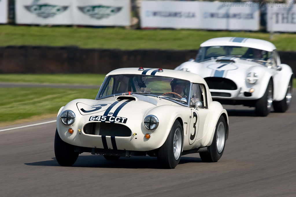 AC Shelby Cobra Le Mans - Chassis: CSX2142  - 2008 Goodwood Revival