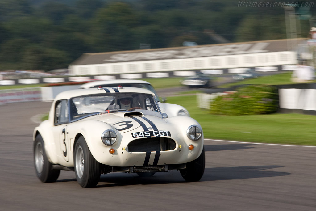 AC Shelby Cobra Le Mans - Chassis: CSX2142  - 2008 Goodwood Revival