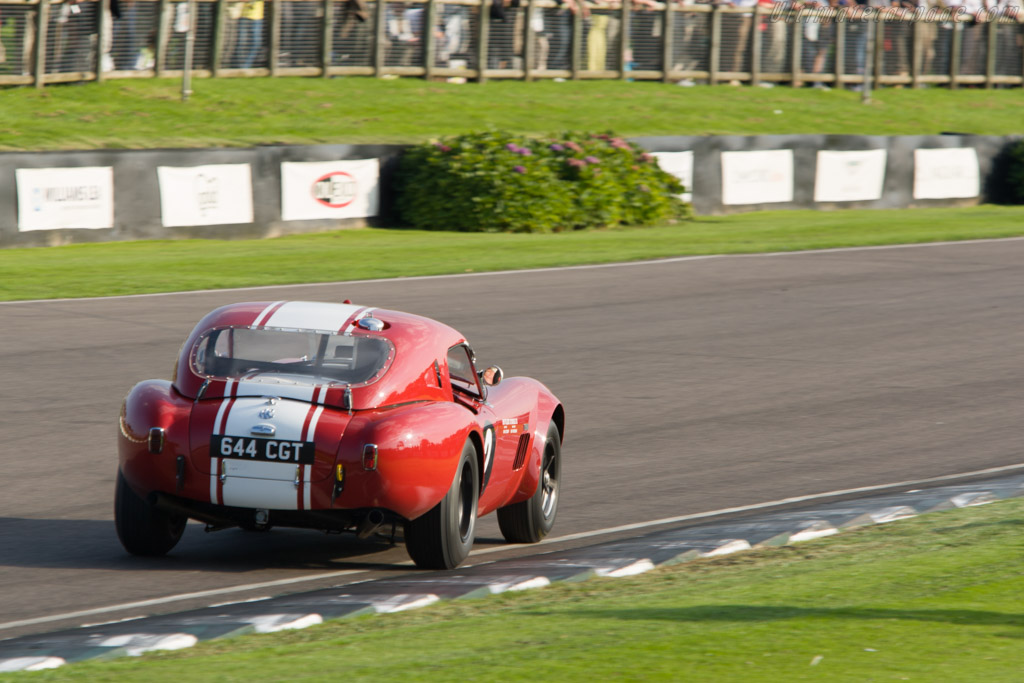 AC Shelby Cobra Le Mans - Chassis: CSX2130  - 2008 Goodwood Revival