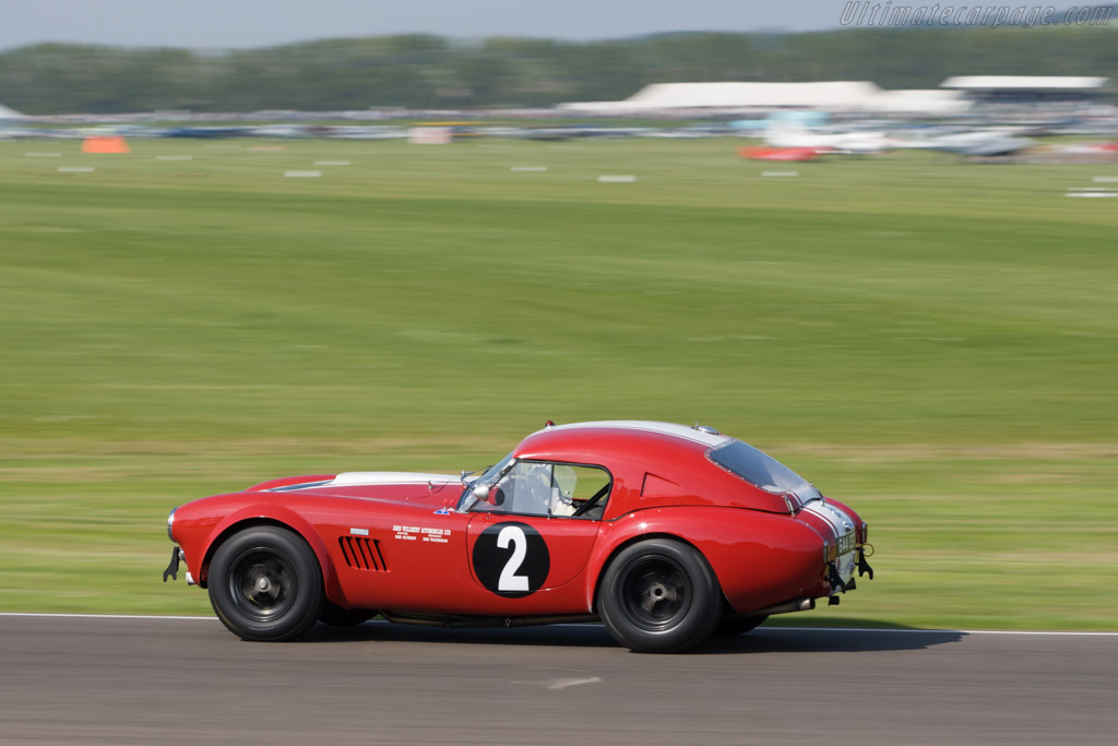 AC Shelby Cobra Le Mans - Chassis: CSX2130  - 2008 Goodwood Revival