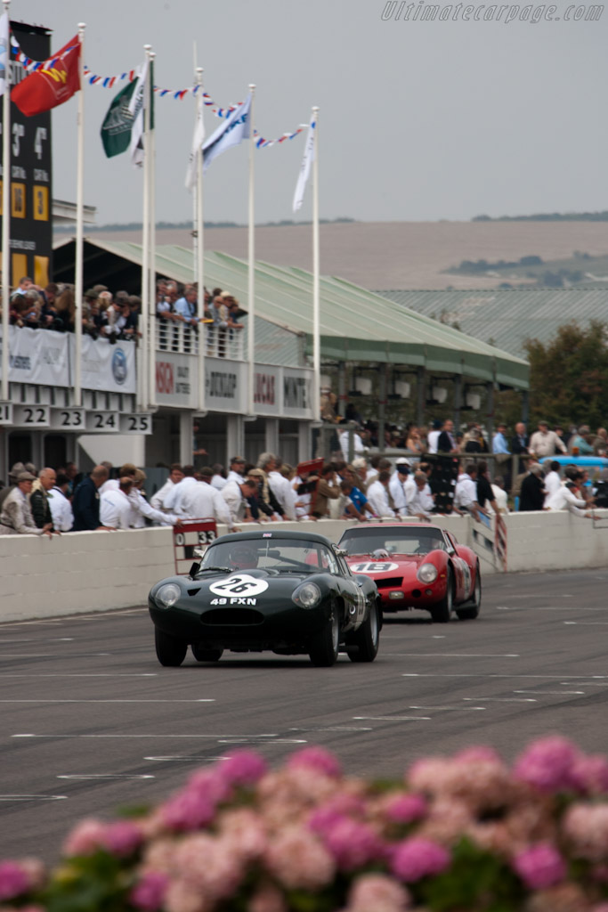 Jaguar E-Type Lightweight Low Drag Coupe - Chassis: S850663  - 2009 Goodwood Revival