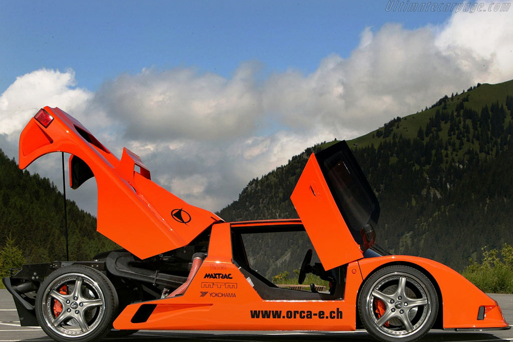 Orca C113