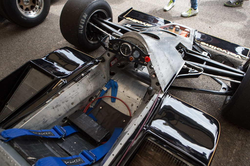 Lotus 79 Cosworth - Chassis: 79/2  - 2014 Goodwood Festival of Speed