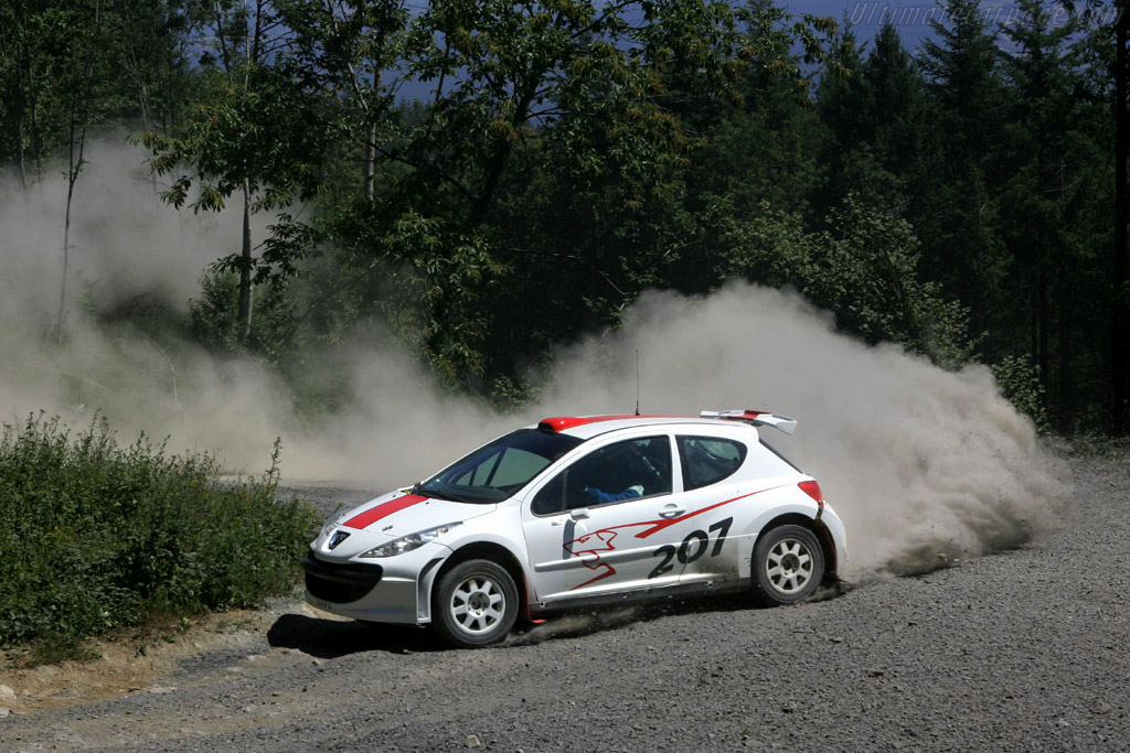 Peugeot 207 Super 2000