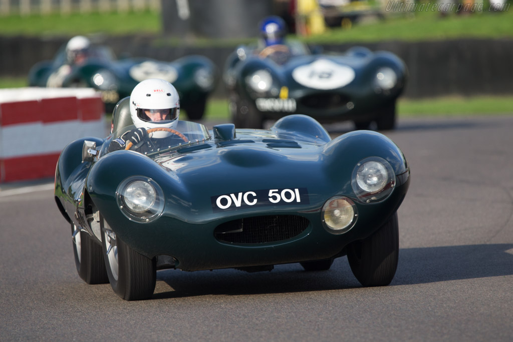 Jaguar D-Type Works - Chassis: XKC 401  - 2014 Goodwood Revival