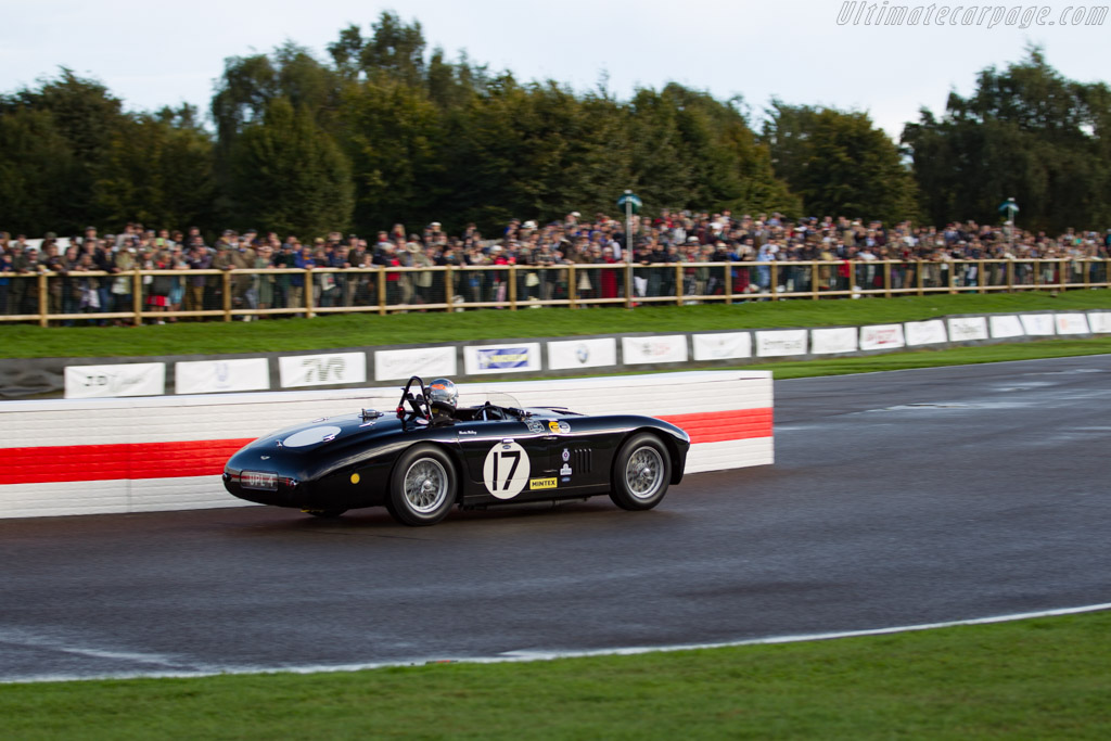 Aston Martin DB3 Spider - Chassis: DB3/5  - 2017 Goodwood Revival