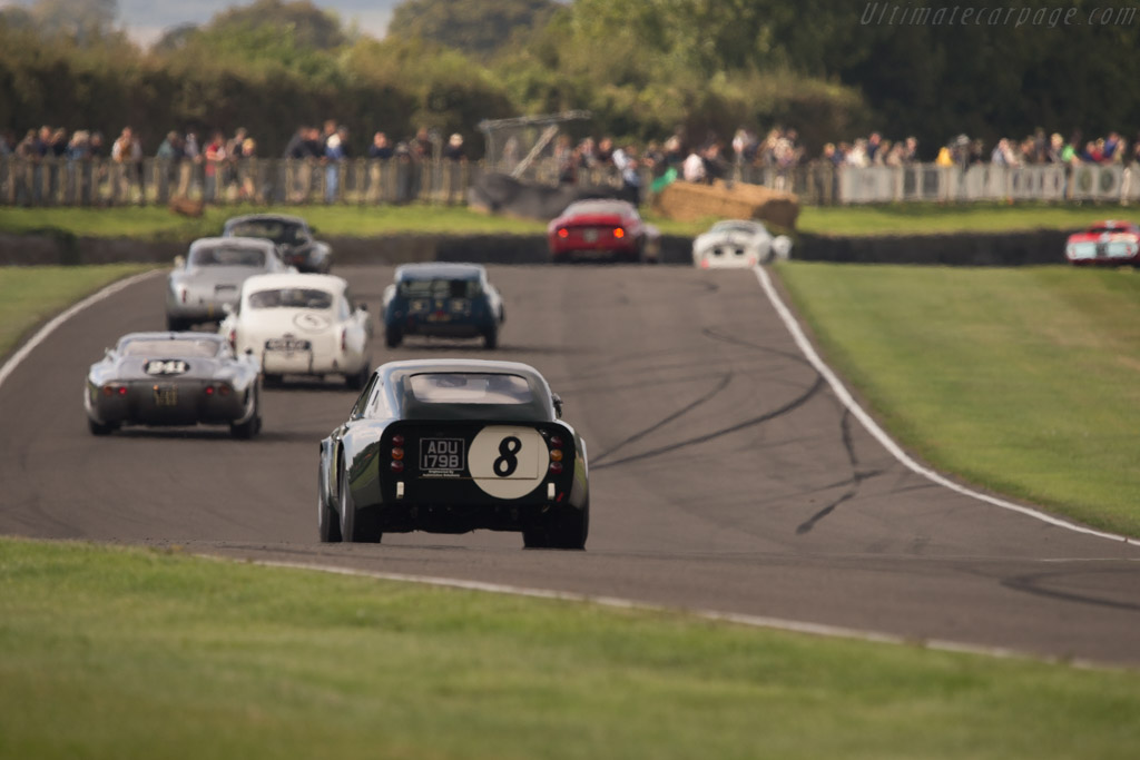 Sunbeam Tiger Lister Le Mans Coupe - Chassis: B9499997  - 2014 Goodwood Revival