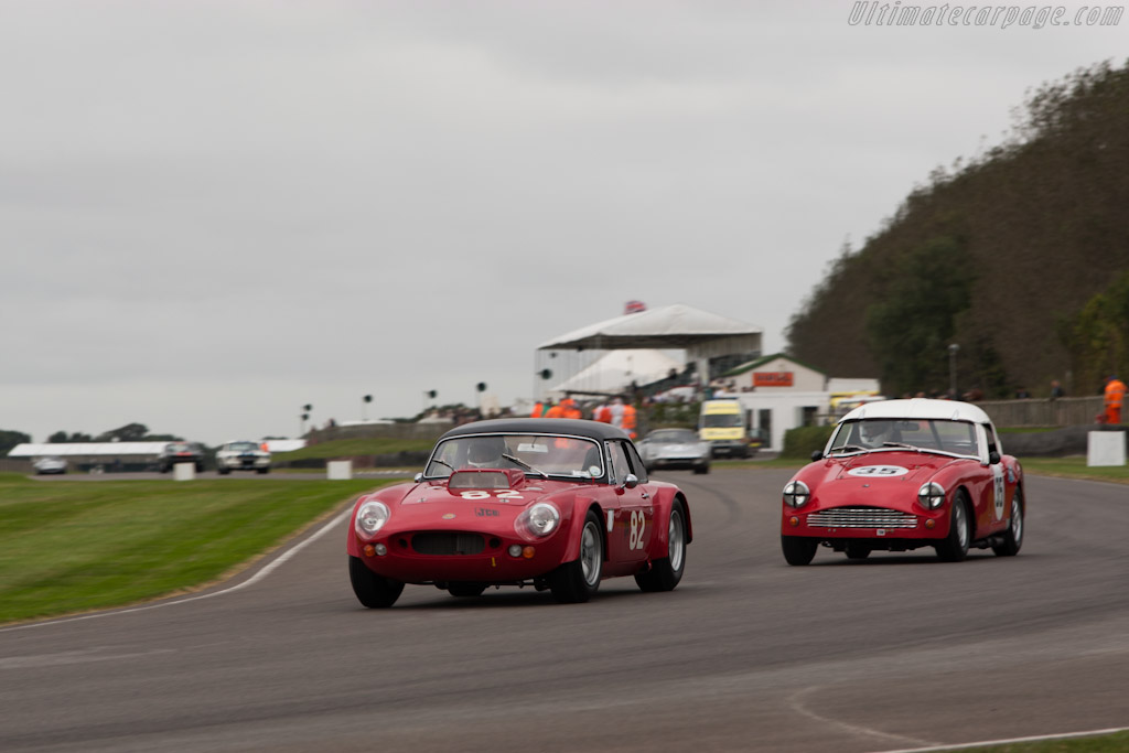 Ginetta G10 - Chassis: G10/101  - 2012 Goodwood Revival