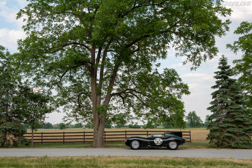Jaguar D-Type