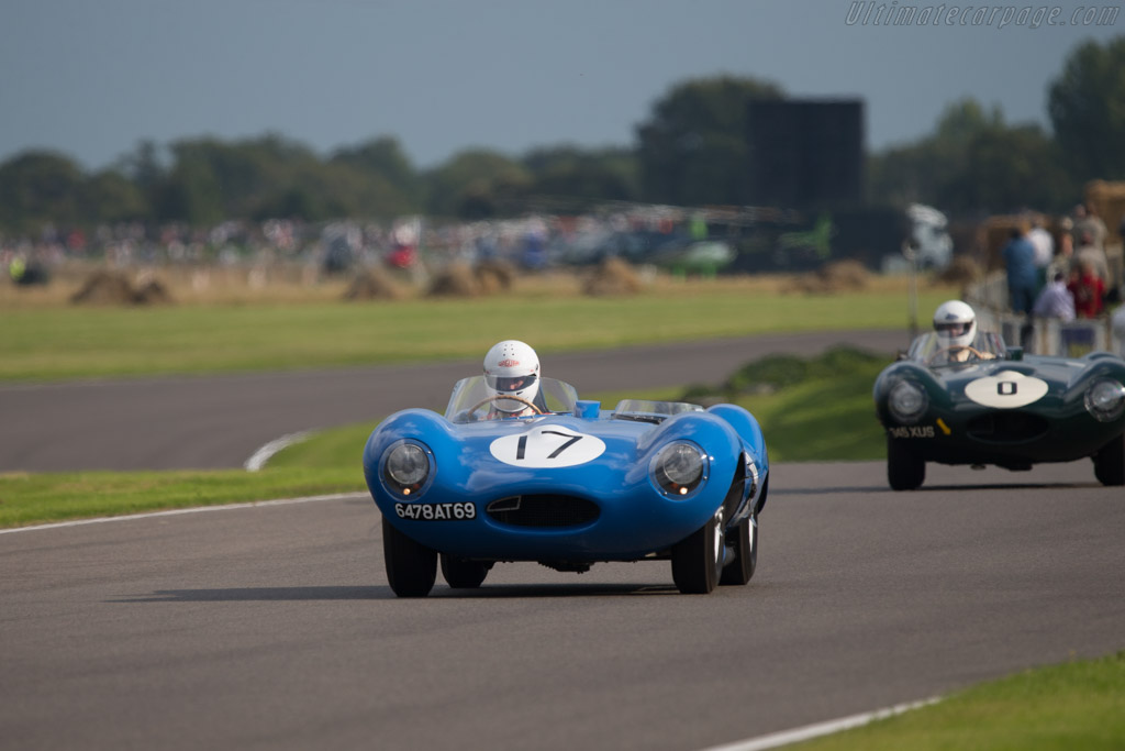 Jaguar D-Type - Chassis: XKD 513  - 2014 Goodwood Revival