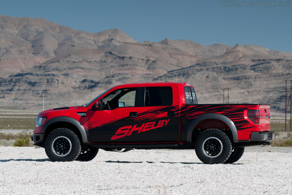 Shelby Raptor