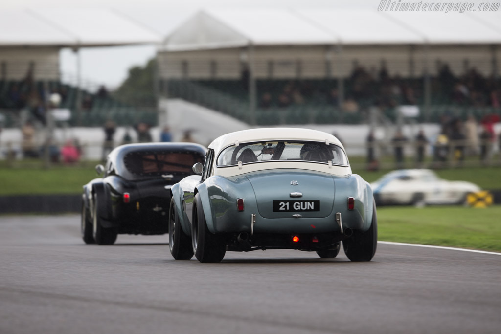 AC Shelby Cobra Mk II 289 - Chassis: COB6044  - 2017 Goodwood Revival
