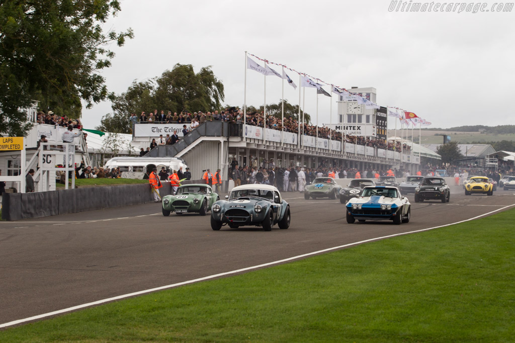 AC Shelby Cobra Mk II 289 - Chassis: COB6044  - 2017 Goodwood Revival