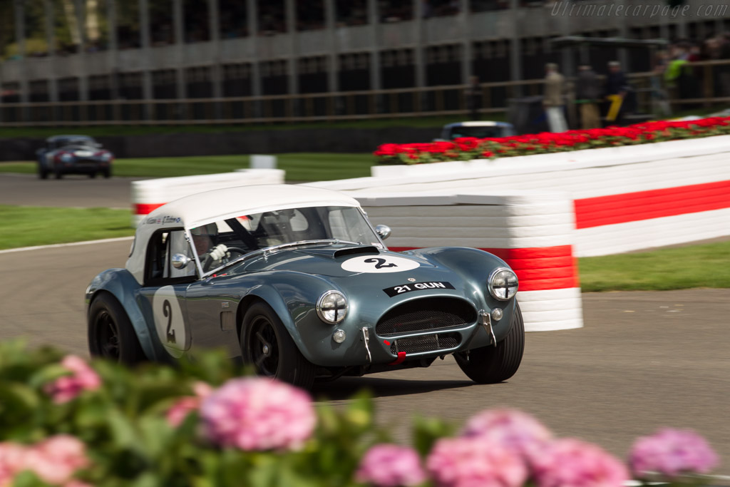AC Shelby Cobra Mk II 289 - Chassis: COB6044  - 2017 Goodwood Revival