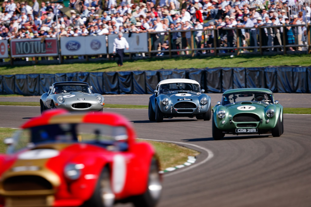 AC Shelby Cobra Mk II 289 - Chassis: COB6044  - 2019 Goodwood Revival