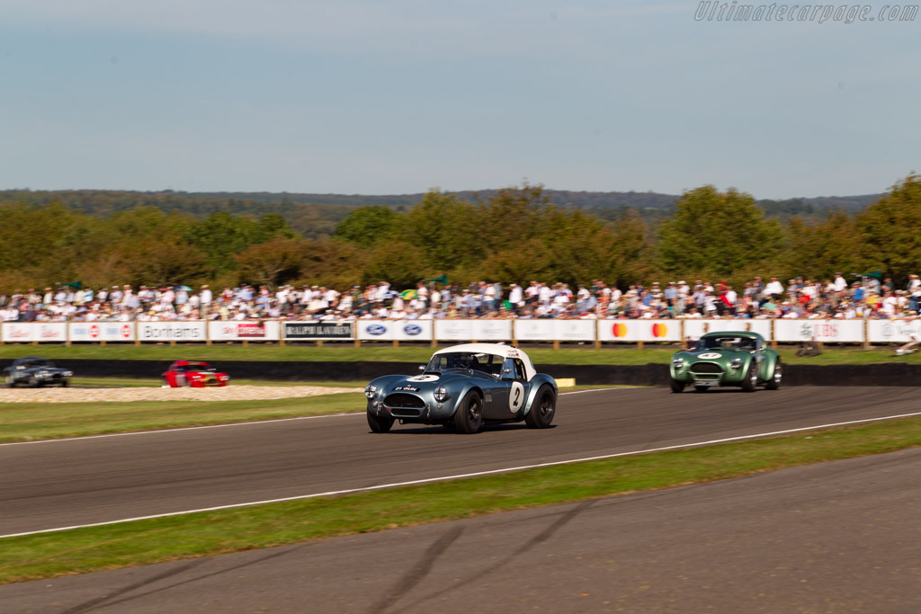 AC Shelby Cobra Mk II 289 - Chassis: COB6044  - 2019 Goodwood Revival