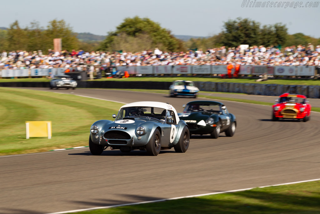 AC Shelby Cobra Mk II 289 - Chassis: COB6044  - 2019 Goodwood Revival
