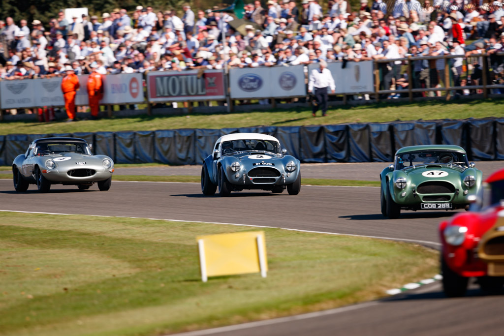 AC Shelby Cobra Mk II 289 - Chassis: COB6044  - 2019 Goodwood Revival