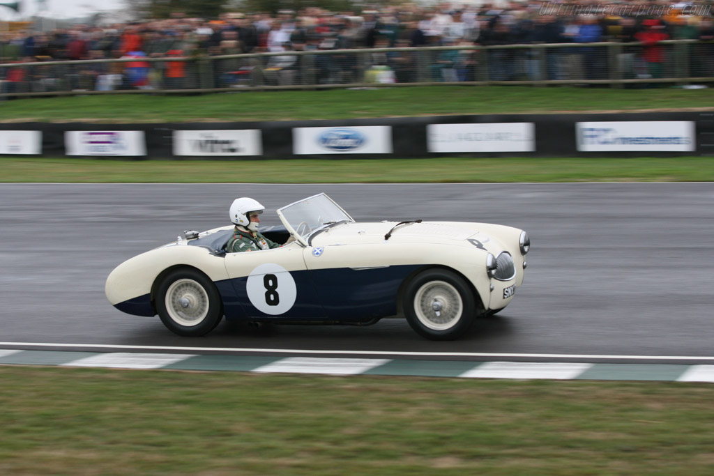 Austin Healey 100S - Chassis: AHS 3810  - 2006 Goodwood Revival