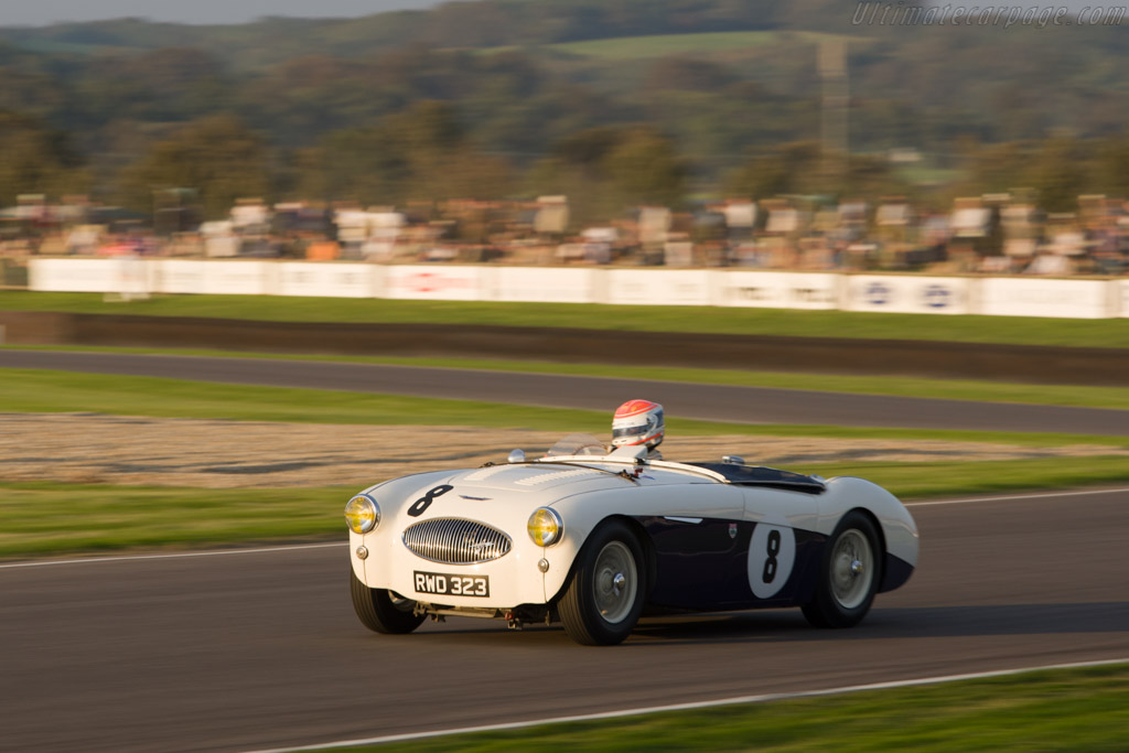 Austin Healey 100S - Chassis: AHS 3704  - 2008 Goodwood Revival