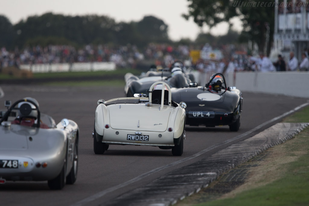 Austin Healey 100S - Chassis: AHS 3702  - 2014 Goodwood Revival