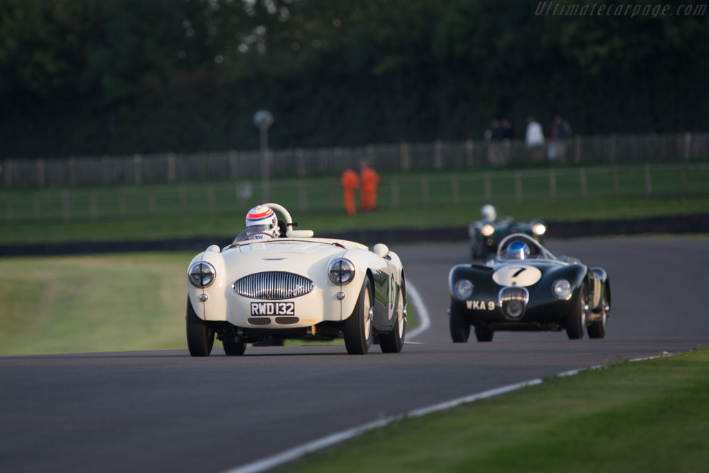 Austin Healey 100S - Chassis: AHS 3702  - 2014 Goodwood Revival