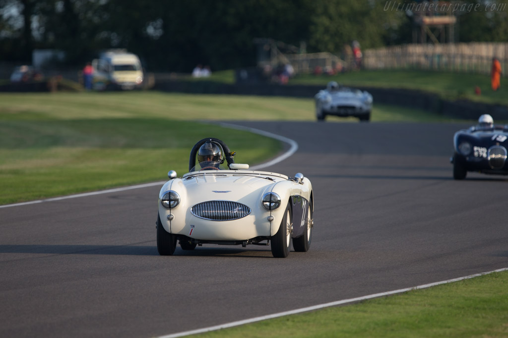 Austin Healey 100S - Chassis: AHS 3603  - 2014 Goodwood Revival