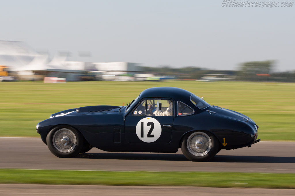 Frazer Nash Le Mans Coupe - Chassis: 421/200/186  - 2008 Goodwood Revival