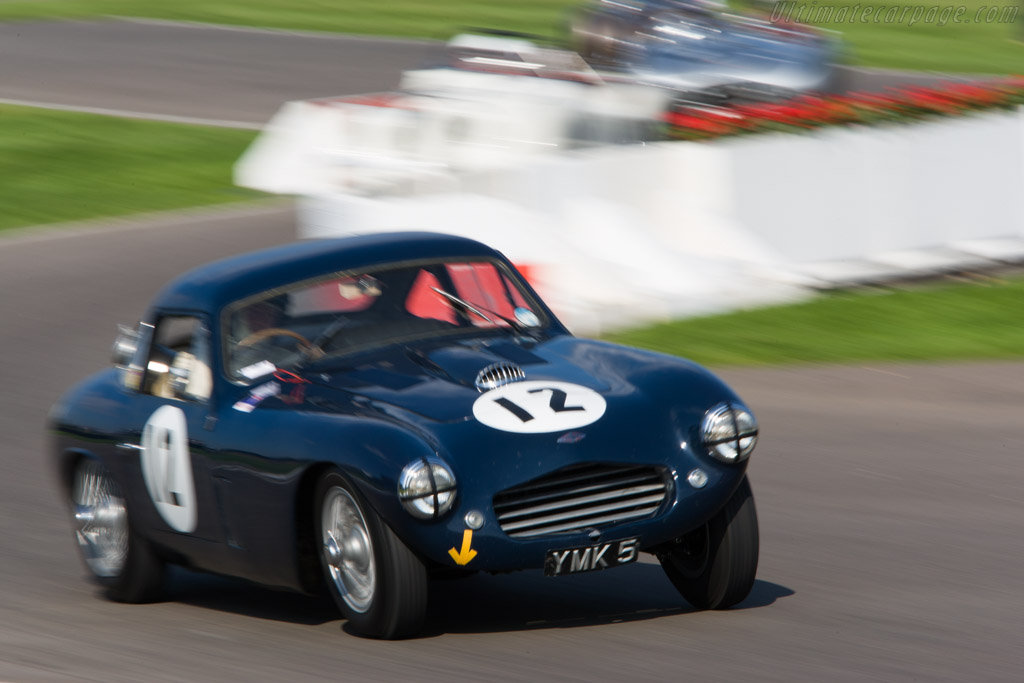 Frazer Nash Le Mans Coupe - Chassis: 421/200/186  - 2008 Goodwood Revival