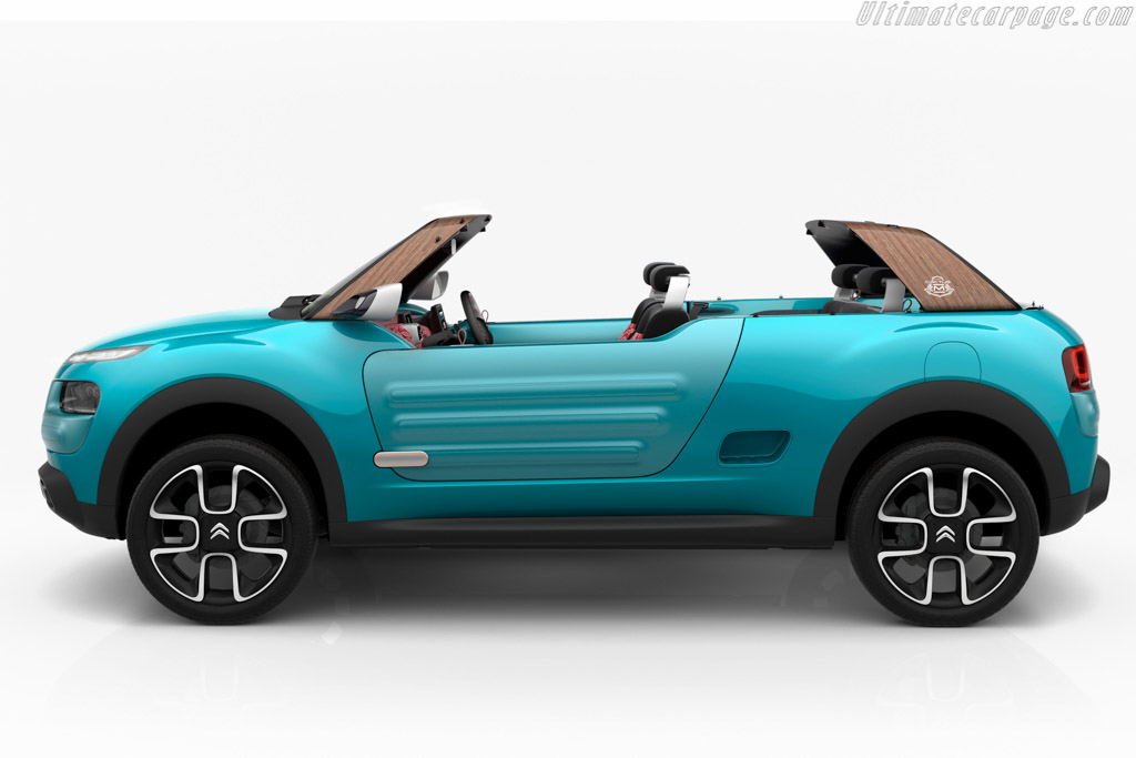 Citroën Cactus M Concept