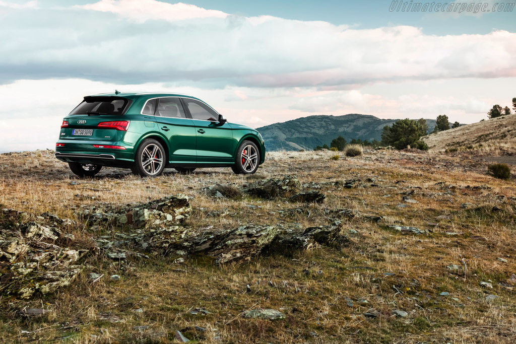 Audi SQ5 TDI
