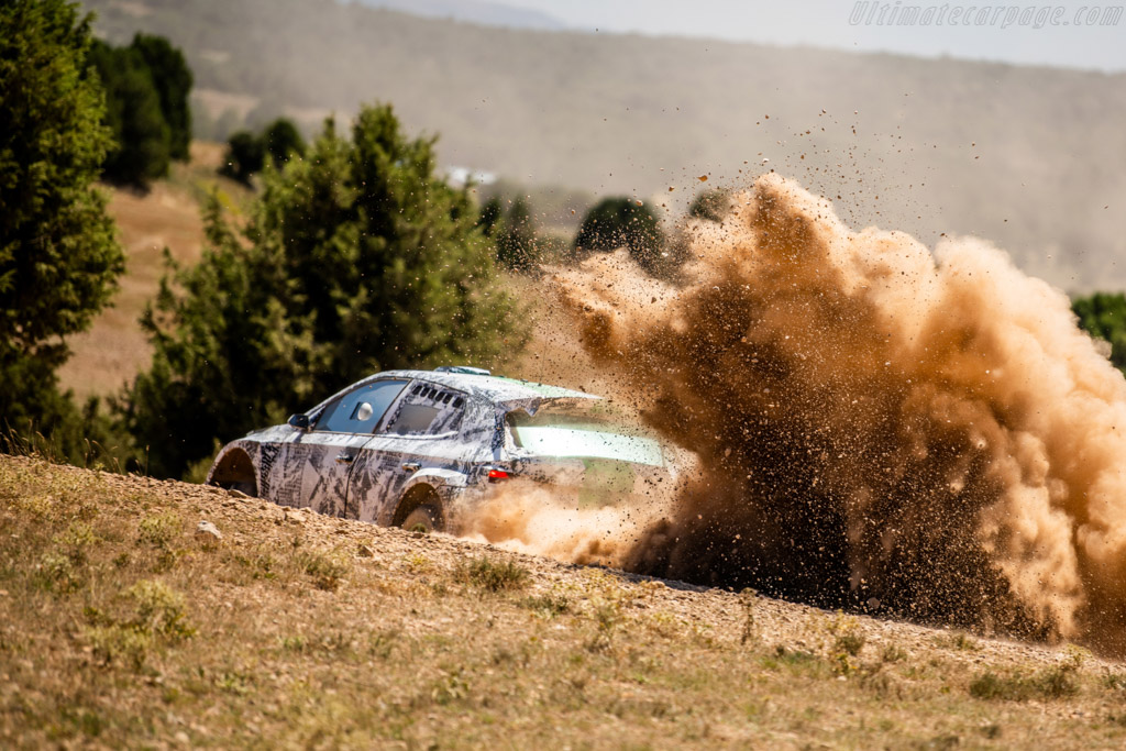 Skoda Fabia RS Rally2