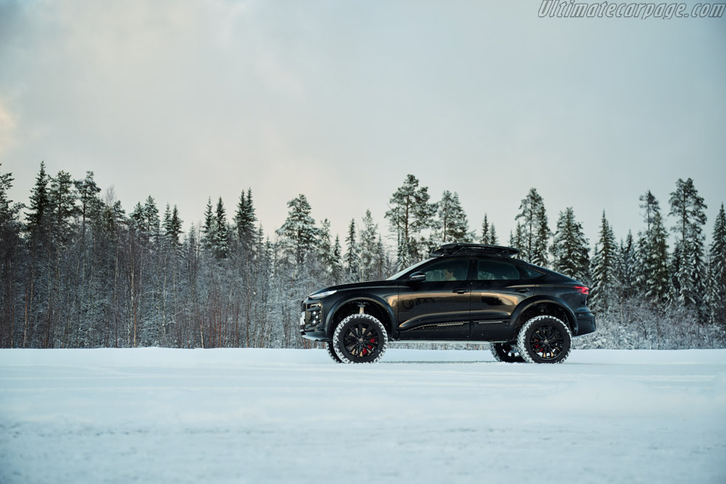Audi Q6 e-tron offroad concept