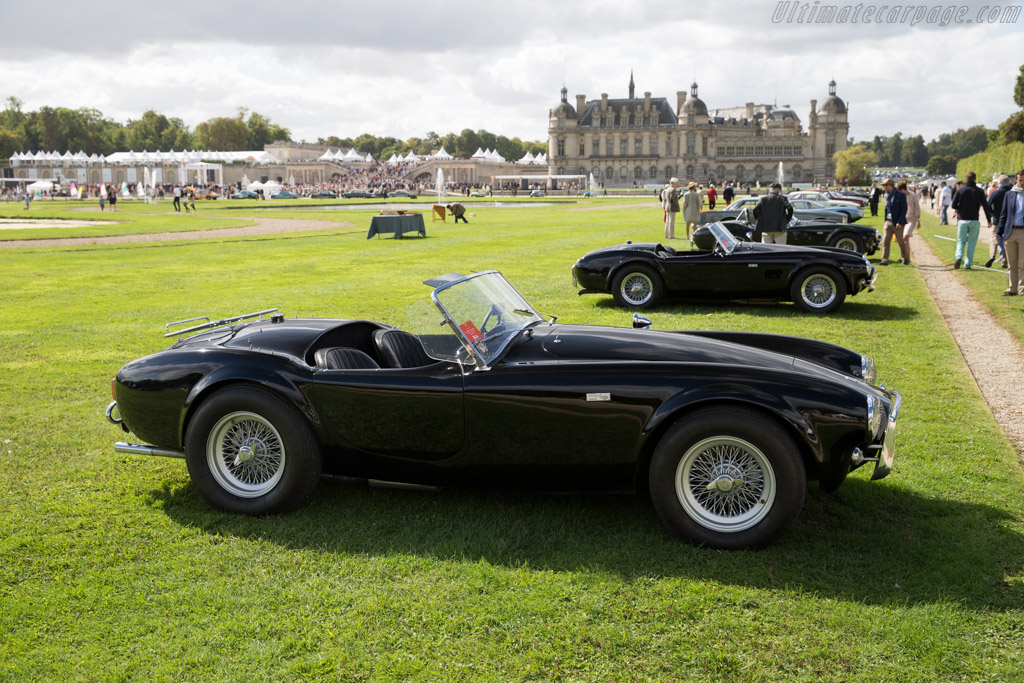 AC Shelby Cobra 289 - Chassis: CSX2055 - Entrant: Martin Walford - 2015 Chantilly Arts & Elegance
