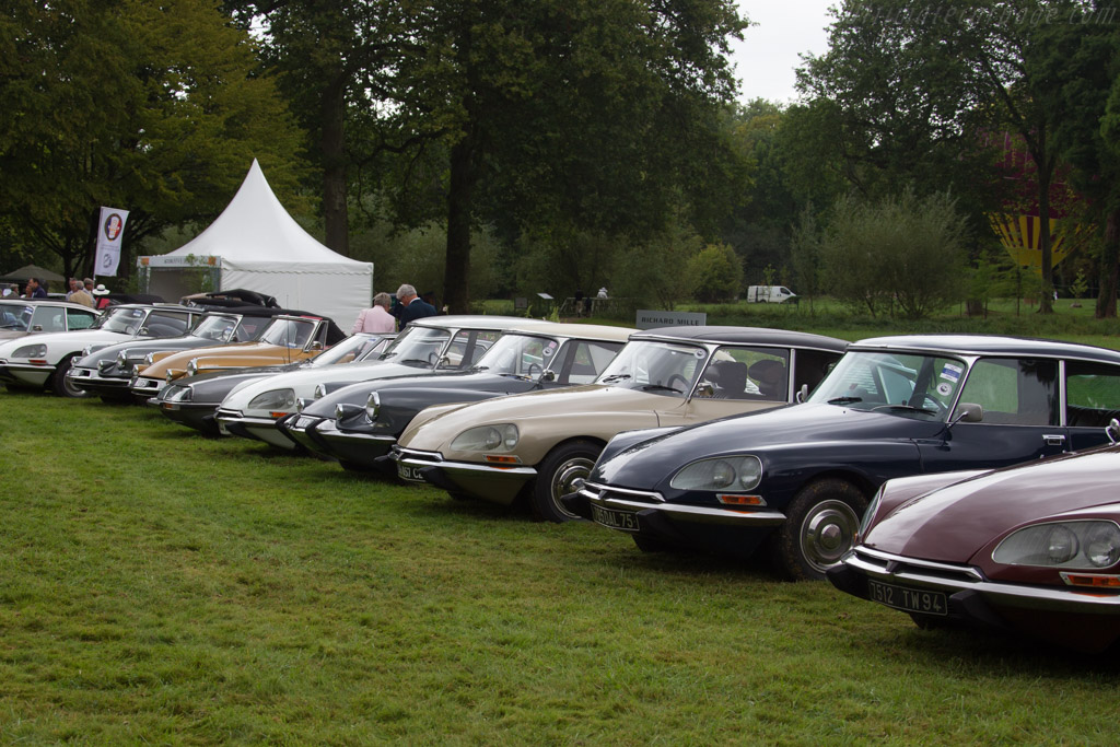 Clubs   - 2016 Chantilly Arts & Elegance