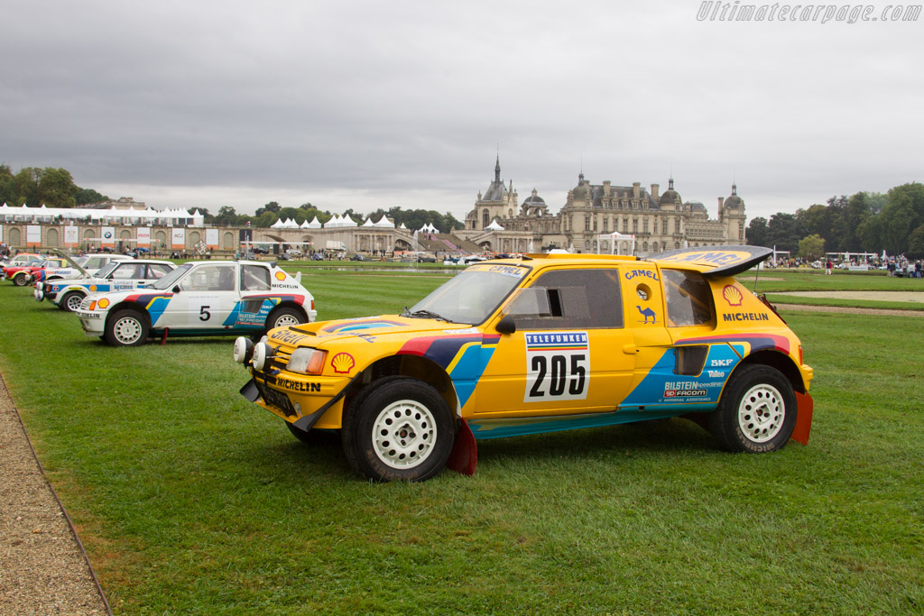 Peugeot 205 Turbo 16 Grand Raid   - 2016 Chantilly Arts & Elegance