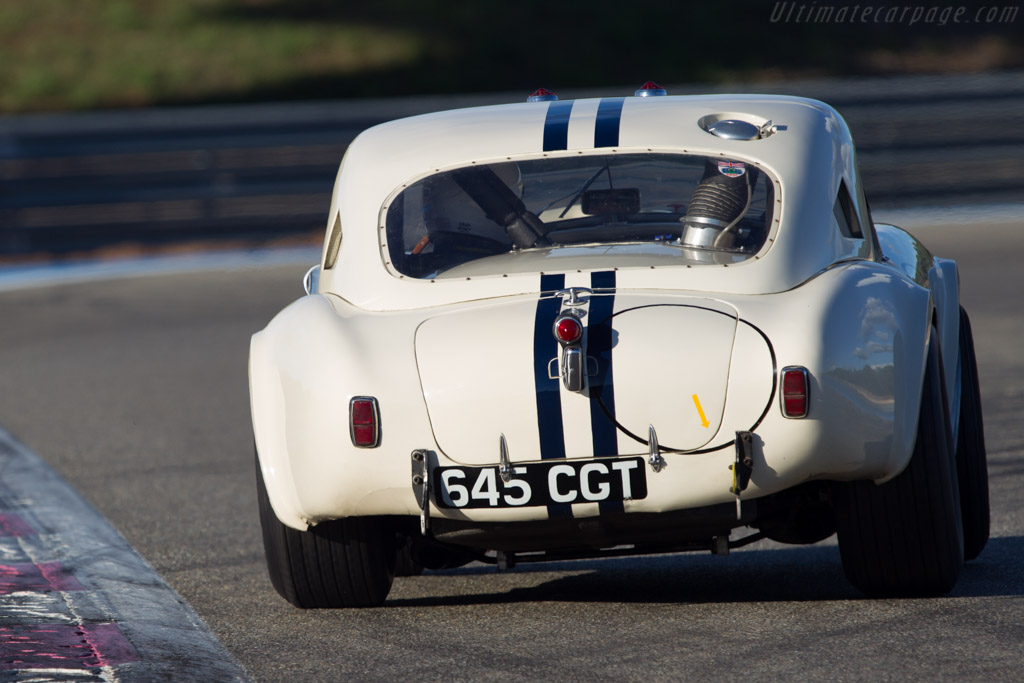 AC Shelby Cobra Le Mans - Chassis: CSX2142 - Driver: Carlos Monteverde - 2013 Dix Mille Tours