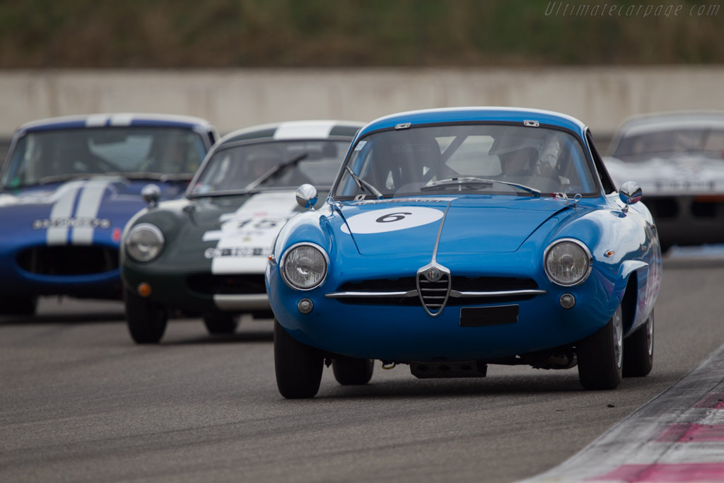 Alfa Romeo Giulia SS - Chassis: 380352 - Driver: Jean-Georges van Praet - 2013 Dix Mille Tours